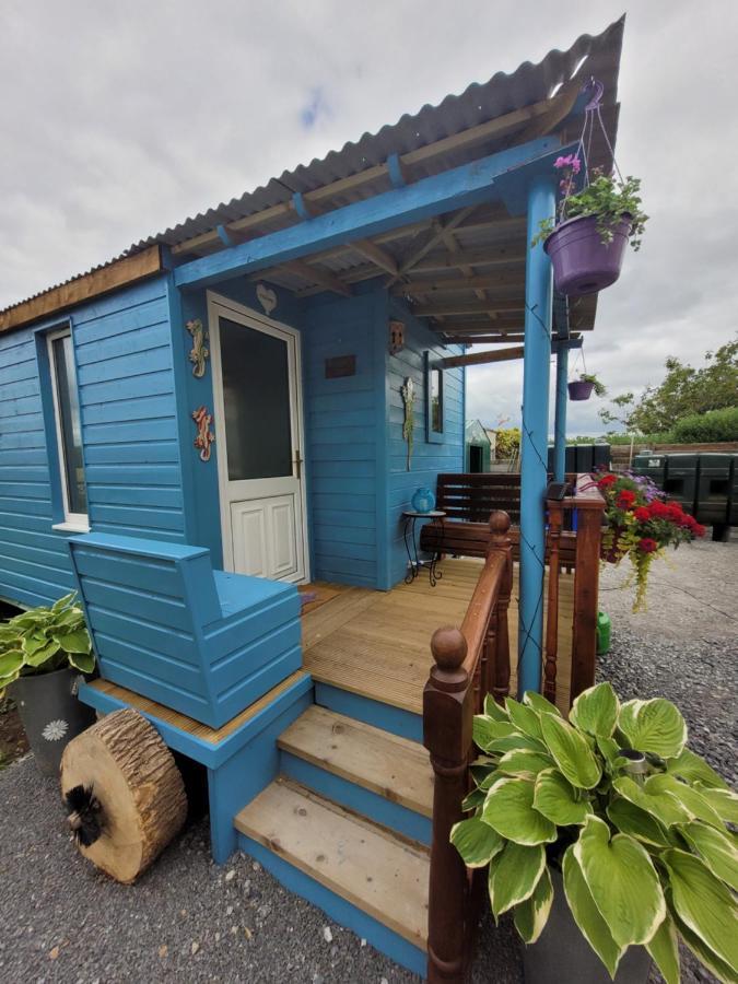 Отель Wedger'S Hut Нина Экстерьер фото